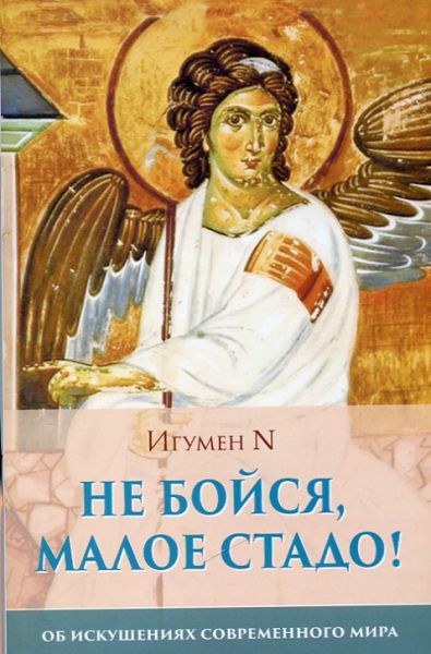 Не бойся, малое стадо! Об искушениях современного мир. Игумен N 